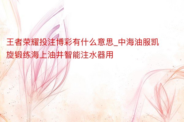 王者荣耀投注博彩有什么意思_中海油服凯旋锻练海上油井智能注水器用