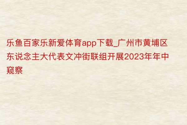 乐鱼百家乐新爱体育app下载_广州市黄埔区东说念主大代表文冲街联组开展2023年年中窥察