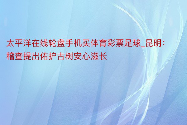 太平洋在线轮盘手机买体育彩票足球_昆明：稽查提出佑护古树安心滋长
