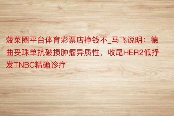 菠菜圈平台体育彩票店挣钱不_马飞说明：德曲妥珠单抗破损肿瘤异质性，收尾HER2低抒发TNBC精确诊疗